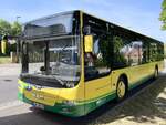 MAN Lion's City der Verkehrsgesellschaft Ludwigslust-Parchim mbH in Plau am See am 09.06.2023