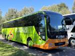 MAN Lion's Coach von FlixBus/Wunder aus Deutschland in Plau am See am 06.09.2023