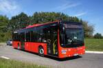 Bus Rheinland-Pfalz / Verkehrsverbund Rhein-Neckar: MAN Lion's City (MZ-DB 239) vom Omnibusverkehr Rhein-Nahe GmbH / ORN (Rhein-Nahe-Bus), aufgenommen Ende September 2023 in Sembach, einer