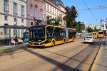 HEAG mobiBus MAN Elektro Lions City G Wagen 431 am 07.09.24 in Darmstadt Innenstadt