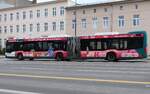 Mercedes-Benz MB Citaro C2 G, [Nr.988] ''VIP Ausflugslinie Sanssouci'', VIP Verkehrsbetrieb Potsdam GmbH. Potsdam im März 2024