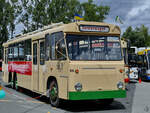 Der 1974 bei Krupp Ludewig gebaute  TS3  (Trolleybus Solingen 1) ist Teil der Ausstellung im Obus Museum Solingen.