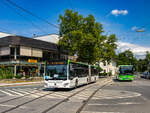 Graz. Am 18.07.2024 trifft am Hilmteich Wagen 1703 von Dr. Richard als Linie E1 nach Mariatrost, gleichzeitig erreicht Postbus BD 15603 als Linie 250 nach Graz-Rosarium ein.
