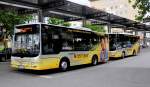NEUE MAN LIONS CITY Niederflur Midi Omnibuss,250 PS,EEV,ab 27.5.2011 in Krems an der Donau auf 4 Linien mit neuem Logo  unser KREMSER  im Einsatz.