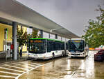 Wiener Neustadt. Überraschend kam es am 13.09.2024 in Wiener Neustadt zu einem leichten leichten Schneefall. Dennoch herrschte am Bahnhof reger Autobusbetrieb, wie dieses Foto beweist.