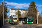 Graz. Traditionell verkehrt an heilig Abend die festlich geschmückte Grazer Adventbim. Zufällig begegnet diese hier am 24.12.2024 dem Wagen 89 der Graz Linien, als Fahrschule in der Schleife Laudongasse. 