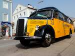 MB-Bus Baujahr 1954 , macht in der Bezirksstadt Ried i.I.