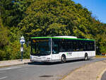 Wien. Auf der Wiener Regionalbuslinie 266, setzt das Unternehmen Dr. Richard einige MAN Lion's City ein. Der Wagen mit der Nummer 1456, ist hier am 06.08.2024 bei der Haltestelle  An der Kuhtrift  zu sehen.