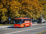 Maribor. Goldener Herbst in der zweitgrößten Stadt Sloweniens: Ein Iveco Crossway verlässt hier am 07.10.2024 soeben als Linie 15 nach Košaški Dol die Haltestelle Maribor ŽP.