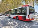 MAN 43C Lion's Intercity LE 13, Avanza Benidorm, Wagen 1467, bedient die Haltestelle Avenida del Mediterraneo als Linie 10 in Benidorm am 20.08.2024