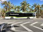 Castrosua Magnus H LE 13 Hybrid, Avanza Elche, Wagen 311, unterwegs als Linie R9 in Elche am 27.01.2025. Am 27.01.2025 startete das neue Streckennetz  Autobus urbano a Pedanias  in der Umgebung von Elche. Das Liniennetz besteht aus 11 Linien (R1 bis R11). 