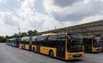 2021-er Man Lion's City Gelenkbus (zweite Generation) im Budapester Nahverkehr. August, 2024