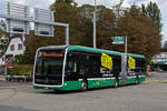 Mercedes eCitaro 7120, auf der Linie 36, fährt am 30.09.2024 bei der Haltestelle St.