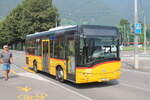 Postauto/PU Starnini TI 78187/PAG-ID: 11341 (Solaris Urbino 8.9LE) am 12.8.2024 in Tenero, Brere