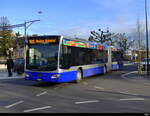 VZO - Mercedes Citaro Nr.102  ZH 745102 unterwegs auf der Linie 925 in Meilen am 2024.12.21