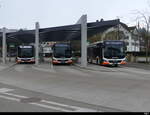 Bamert Bus / Zimmerberg Bus - Bus Treminal in Richterswil am 2024.12.27