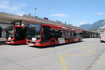 Chur Bus Nr. 21 & 56 (MAN New Lion's City C18) am 8.8.2024 beim Bhf. Chur