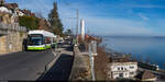 TransN ST5 166 / Neuchâtel Rue de l'Evole, 4. Februar 2024