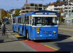 ex VBZ - Saurer Nr.540  ZH  187540 auf Publikumsfahrt für das Trammuseum Zürich am 2024.10.27