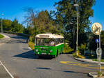 Zottler Oldtimerbusse von Armin Ademovic  10 Bilder