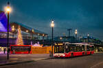 Wiener Linien von Armin Ademovic  16 Bilder